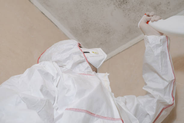 Best Residential Mold Removal  in Wimberley, TX